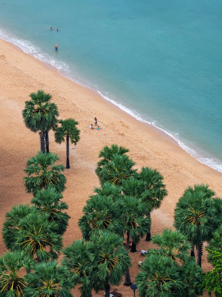 Tropical coastline aerial
